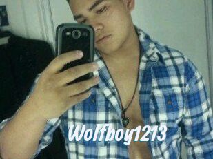 Wolfboy1213