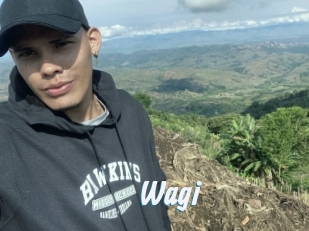 Wagi