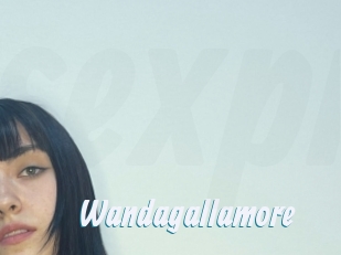 Wandagallamore