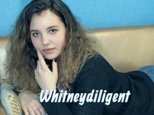 Whitneydiligent