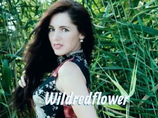Wildredflower
