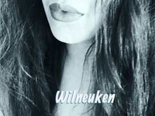 wilneuken Sexe Express