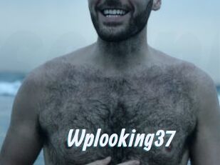 Wplooking37