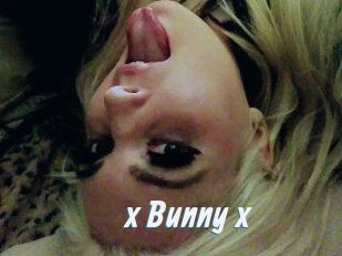 _x_Bunny_x_