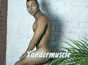 Xandermuscle