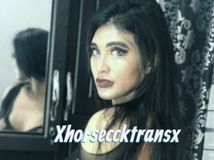 Xhorseccktransx