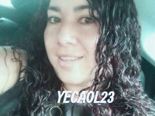 YECAOL23