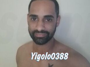 Yigolo0388