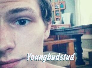 Youngbudstud
