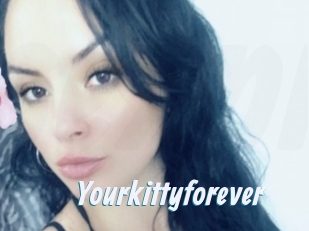 Yourkittyforever