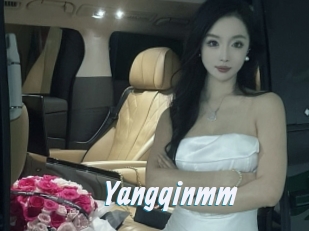 Yangqinmm