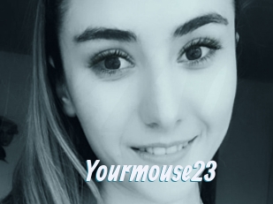 Yourmouse23