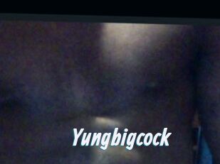 Yungbigcock