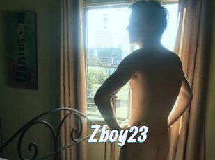 Zboy23