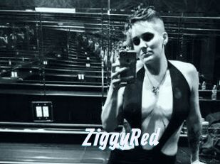 ZiggyRed